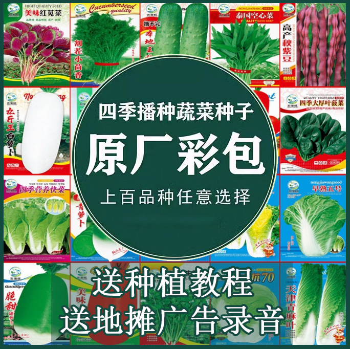 厂价批发四季蔬菜种子秋冬季菜种原种彩袋地摊农家菜园瓜果菜种子