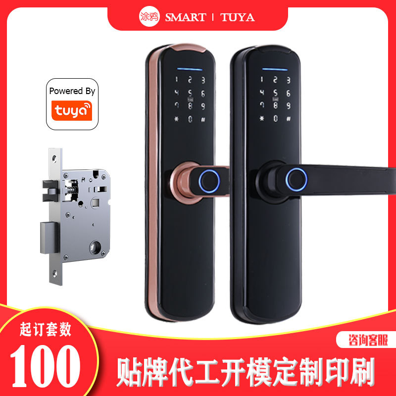 外贸出口图雅wifi智能锁定制全屋智能涂鸦室内门指纹锁|ms
