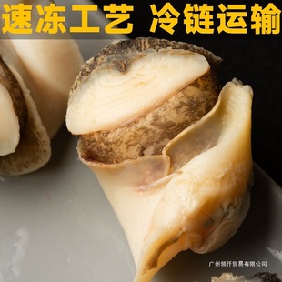 ���B�ش����^ȥ��ȥ���K�����ݟoɳ�����������ʳ�u�ذ��b����