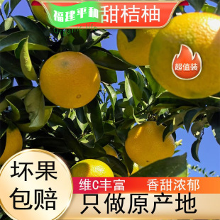 ���������ָ���ƽ�ͮ����Ꭷˮ�������֭����������ִ��l