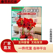 �M����피t�����ذ���피t�N���ɫ���B���҃ȷN���ļ��_����ֲ��