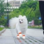 出门防水雨天一次性腿套