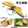 Hfm hollow emperor butterfly