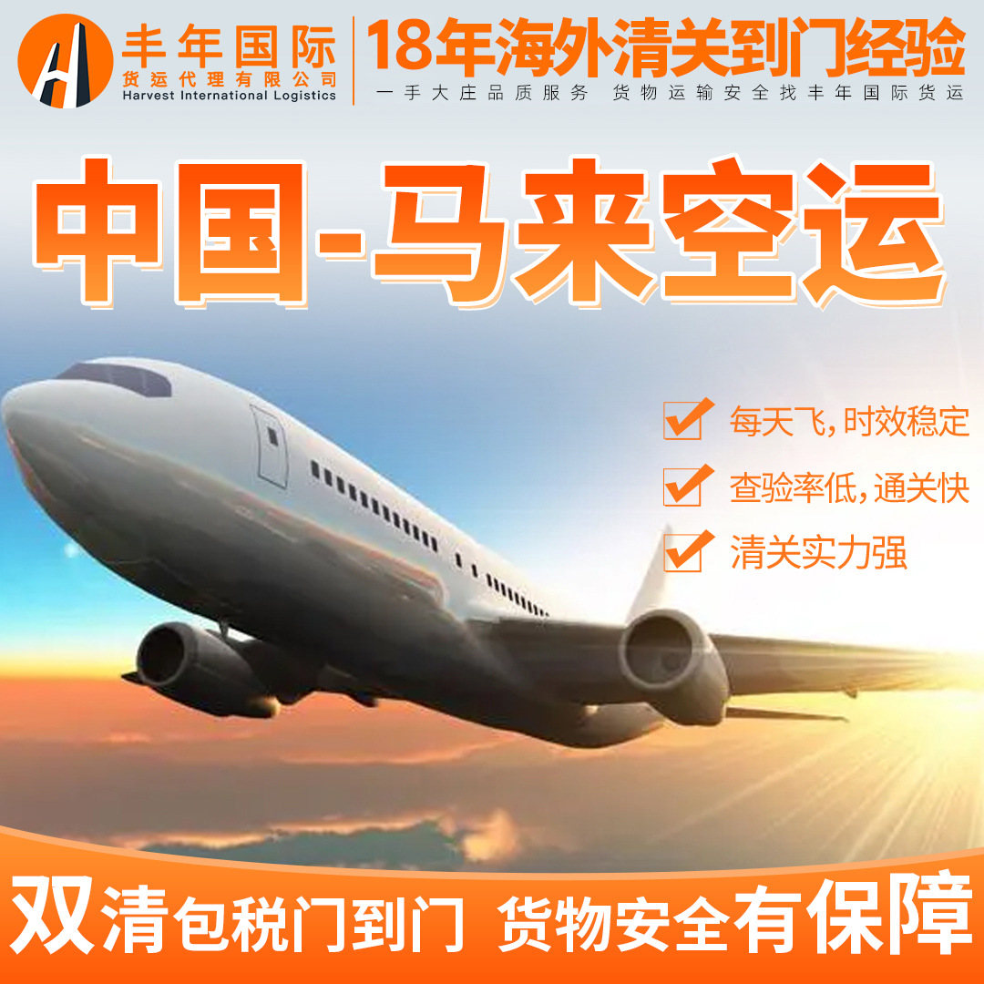 丰年国际物流货代 马来西亚空运双清包税到门专线东南亚专线代理
