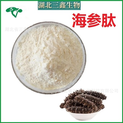 customized Sea cucumber peptide 99% sea cucumber Extract collagen protein Small molecules Food grade Instant