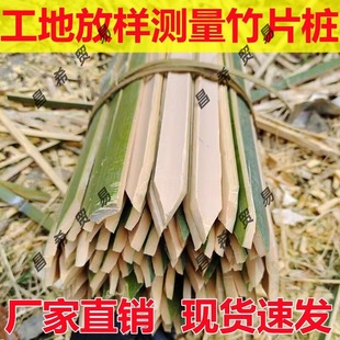 ��Ƭ�����طž�����Ƭ���ؘ���l�ز����Ӵ�ľ�����طŘӜy��