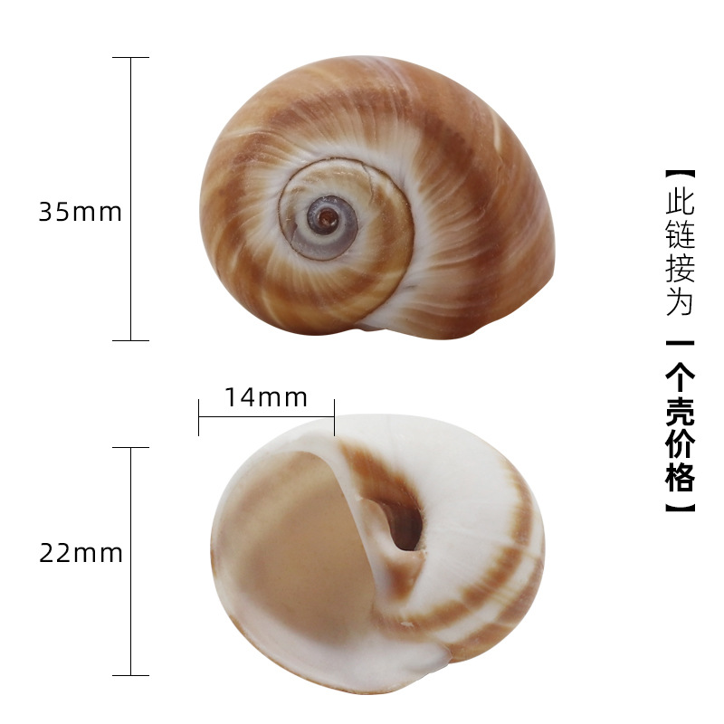 X45 파송 달팽이는 3-4cm 크기의 게에 적합합니다.