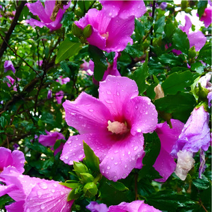 ľ�Ȼ���������Թ��̾G����ľ�҃�����ͥԺ�ͺ���ꎆ��ذ����