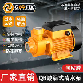 跨境热卖漩涡式清水泵增压泵110V高扬程大流量自来水加压农用浇灌