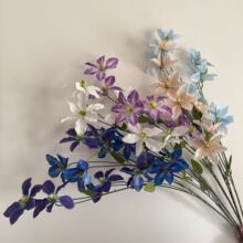 �F��ɏ���滨��c��ˇܛ�b�����廨�b�����̨��피Ҿӻ�����