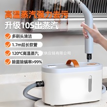 高温高压蒸汽清洁机家用消毒厨房油烟机地毯家电多功能空调清洗机