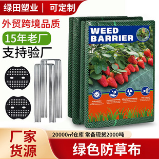Anti-grass cloth green slice Amazon wholesale weeding cloth agricultural orchard greenhouse plastic film new cloth cover grass cloth