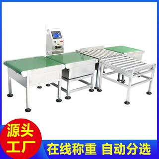 高速称重机皮带称输送机高精度动态检重复检流水线分选剔除包装称