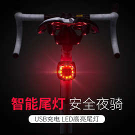 跨境自行车尾灯USB充电警示尾灯 夜骑单车山地车尾灯车灯骑行装备