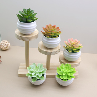 Cross-border wholesale mini lotus plastic artificial potted desktop ornaments simulation plant fleshy fake flower green bonsai