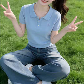 休闲好看浅蓝色polo领针织刺绣短袖T恤女夏季多巴胺穿搭气质上衣