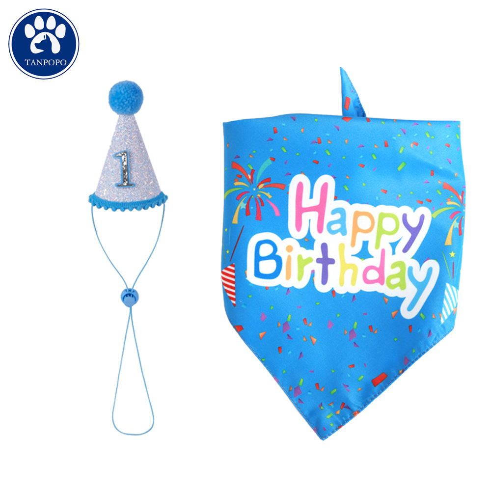 Pet Birthday Hat Image 4