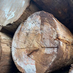 �����S̴ ԭľ���� �@���R���B�Ҿ߲��Ϸ����S����ľ�|���ϏS��