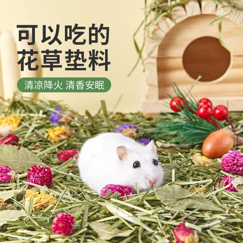 Подстилка из цветов и травы, дезодорирующие опилки для хомяков, украшение для природного ландшафта, клетка-гнездо, золотой медведь, цветочная ветка, принадлежности для мышей, древесная стружка