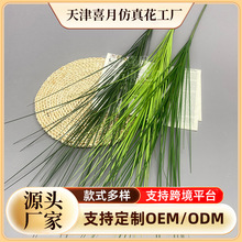 跨境仿真绿植单支草狗尾巴草浪漫森系婚礼造景仿真绿植批发
