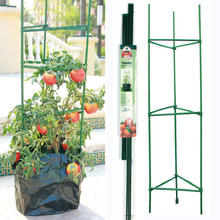 西红柿番茄黄瓜爬藤支架包塑圆柱钢管支撑植物固定园艺阳台种植架