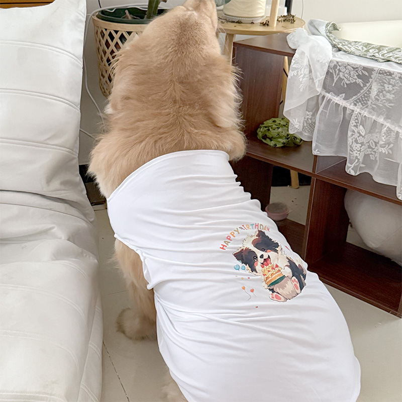 흰색 조끼 생일 시리즈 보더 콜리