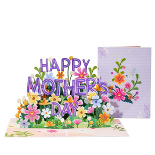 ĸ�H���R���r�Տ���ʽ���w����ˇ�Y�￨Ƭĸ�H������lȦ�R��