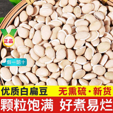 ��؛�ױⶹ5���r���ԷN��ⶹ�ϱⶹ��ܿ������s�Z��ּZ���]