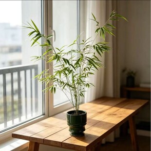 �ߗU���ڃ��T�����L�h��������̨���ߙn��Ʒ�����҃��̨�͏d�ļ�