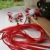 1 pair of spring ribbon style hair clips