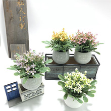 �S�����l �羳��́��R�d �GֲС���� ���W�Ҿ����� �b� DIY�辰