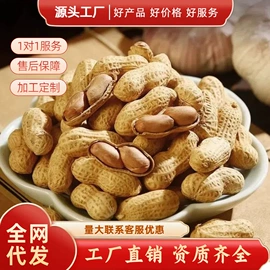 瓜子;腰果;豆类零食