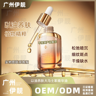 �����B�w���A��ֲ�ﾫ�����B���w�沿���A�����͟��w�o�¼��w