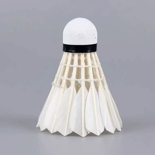 1 badminton