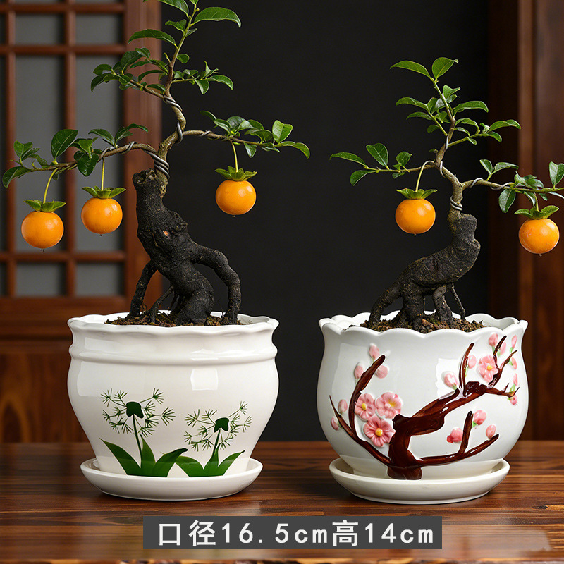 Kw+2 dandelion and plum blossoms