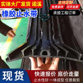 隧道施工缝中背贴式橡胶止水带可卸式橡胶止水带高弹性橡胶止水带
