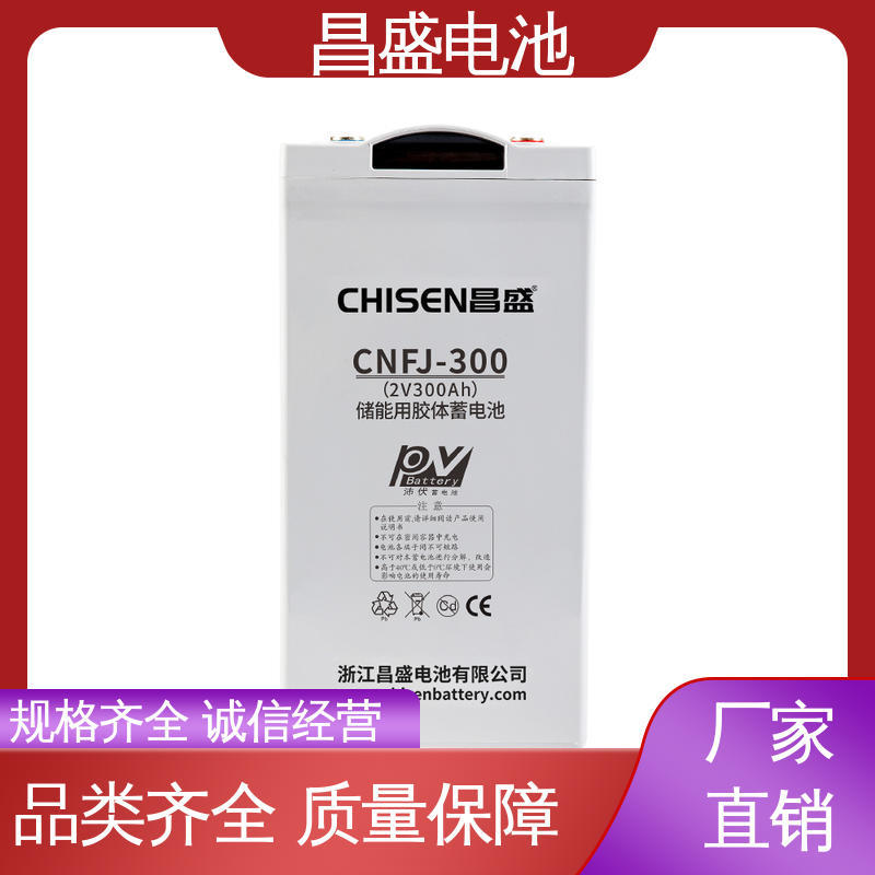 昌盛 CNFJ-300 工业电池 储能电池系统 储能电源 售后无忧