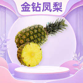 海南金钻凤梨 一件代发菠萝鲜果天地盖礼盒果肉细嫩送礼新鲜水果