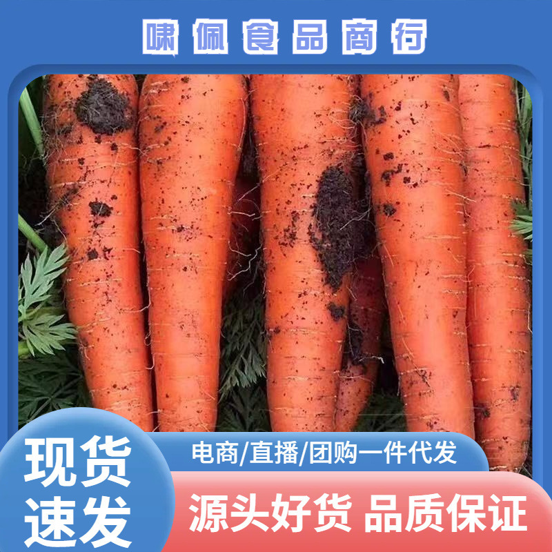 Carrots 5kg Whole Box of Sandy Carrots, Fresh Vegetables, Crisp, Sweet, and Refreshing, with Soil, Wholesale, Freshly Dug from the Farm Carrots 5kg Whole Box of Sandy Carrots, Fresh Vegetables, Crisp, Sweet, and Refreshing, with Soil, Wholesale, Freshly Dug from the Farm