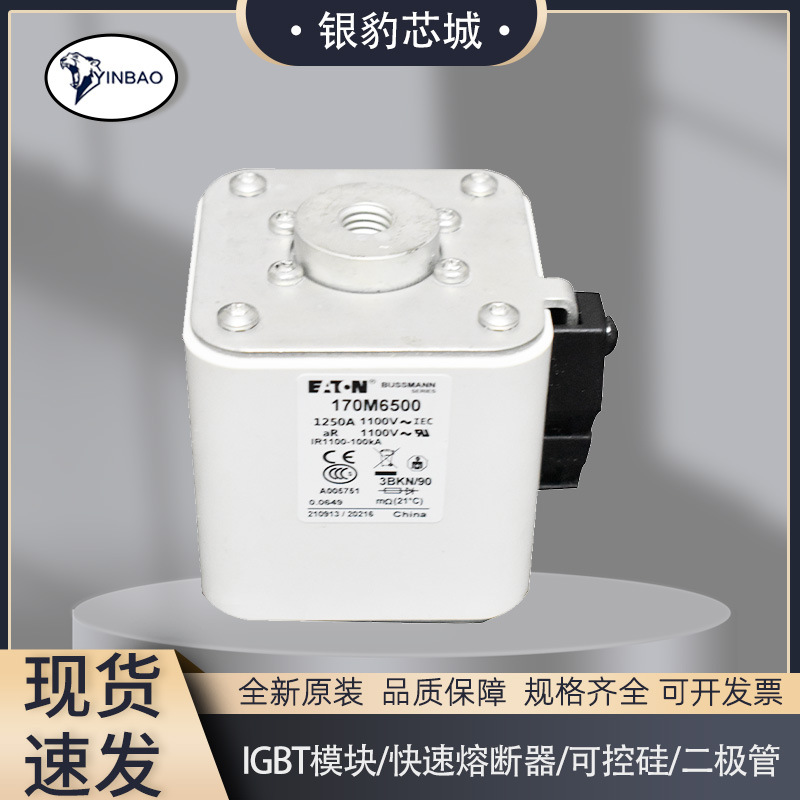 全新熔断器170M6500 170M6501 170M6644 170M6645 170M6646保险丝
