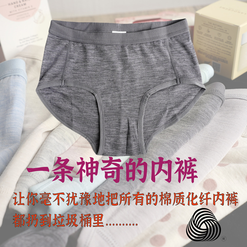 LUCASWELL Merino Wool Briefs Moisture-wicking No Odor Merino Wool Briefs