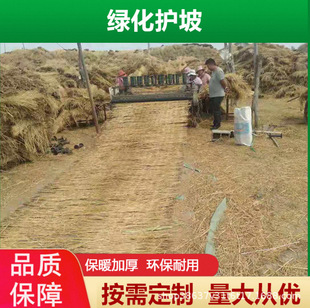 �ݰ����Ӳ݉|�Ӳ��K��·�����ݴ������Ѵ�JȔ�@ˇ��Ʒ��ѩ����