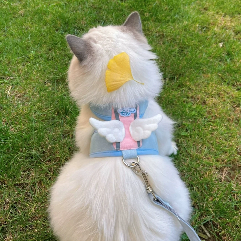 Кошки не могут вырваться из буксировочного троса