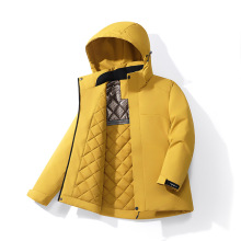 跨境批发男女情跨境厂家直销户外冲锋衣冬季棉衣多颜色三防加