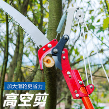 ��֦����s�߿ռ���֦����֦������֦���֦�������@ˇ���߼��L�U