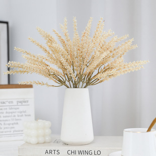 ����Gֲ�ɻ���3֦������ٻ��Ҿ������b�����[�O�쾰�������