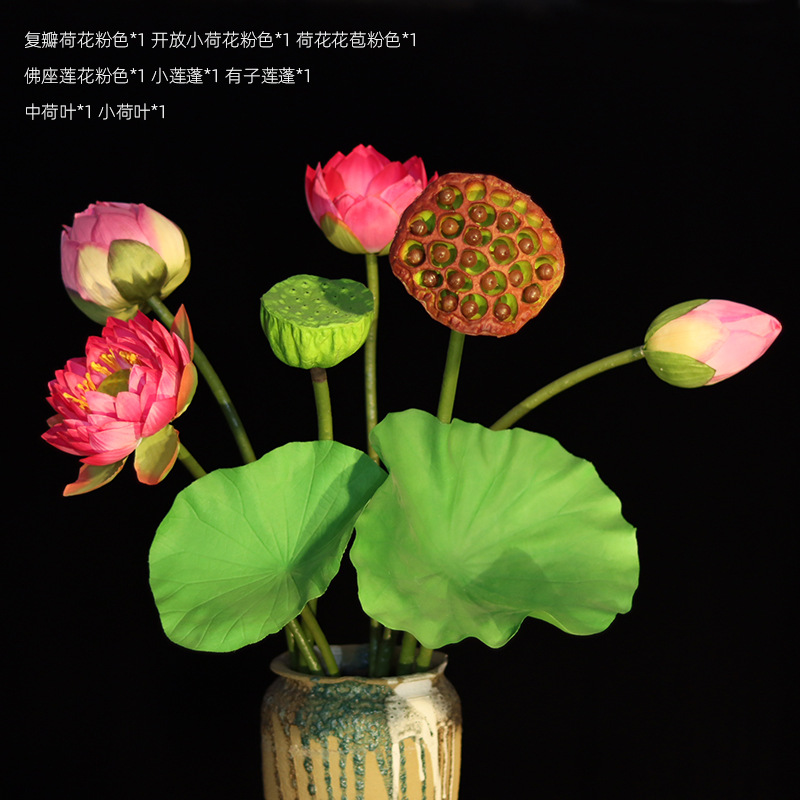 Lotus de Buda + Lotus de Hijo Mezclado 8