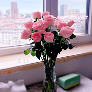 ��������r������ֱ�lõ�廨������ˮ�ٺ����տ�����ֱ����ͥˮ�B