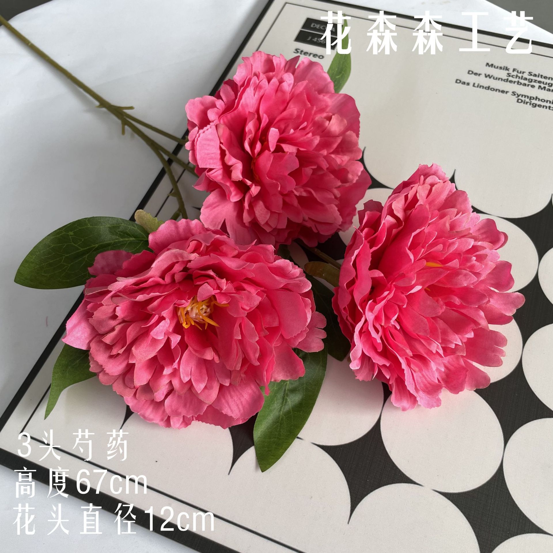 모란의 머리 3 개 151610