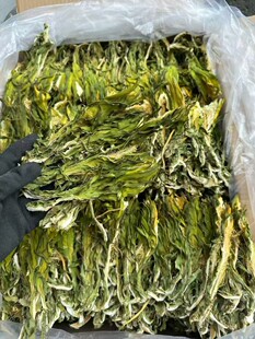 �F؛������؛������10kg����������G������؛ș�����l�V�|�خa